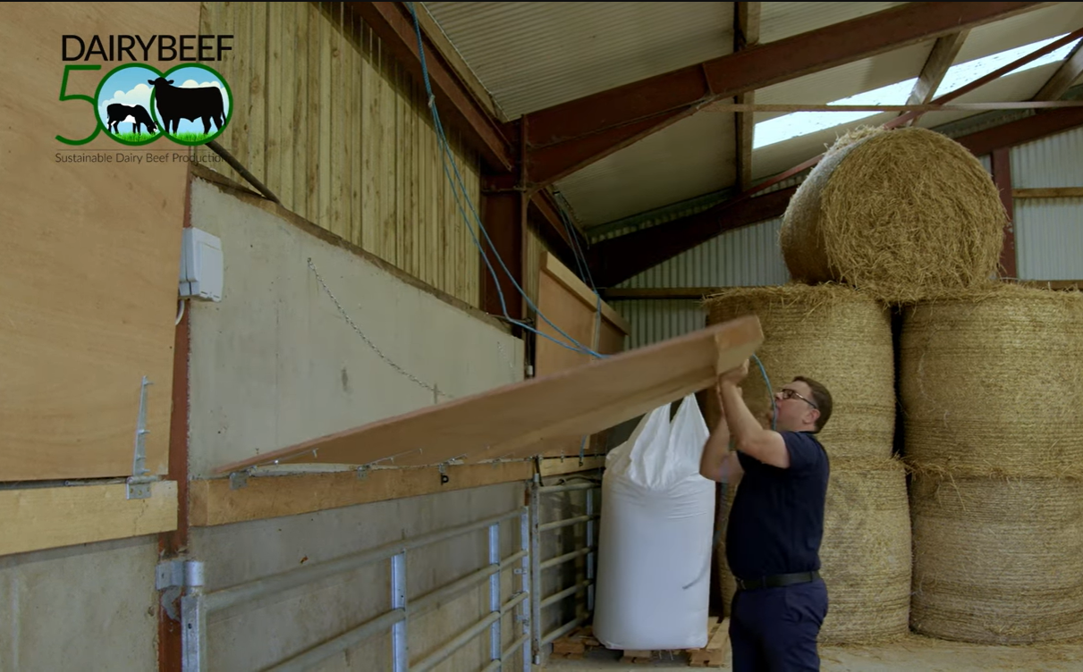 Watch: Advice for farmers on setting up calf-rearing sheds