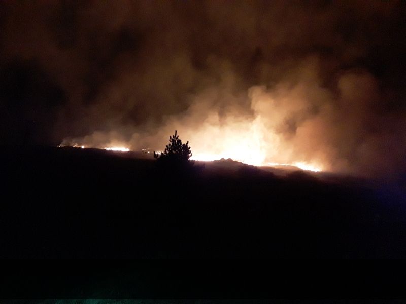 IWT: Burning of hills is 'symptom of political apathy'