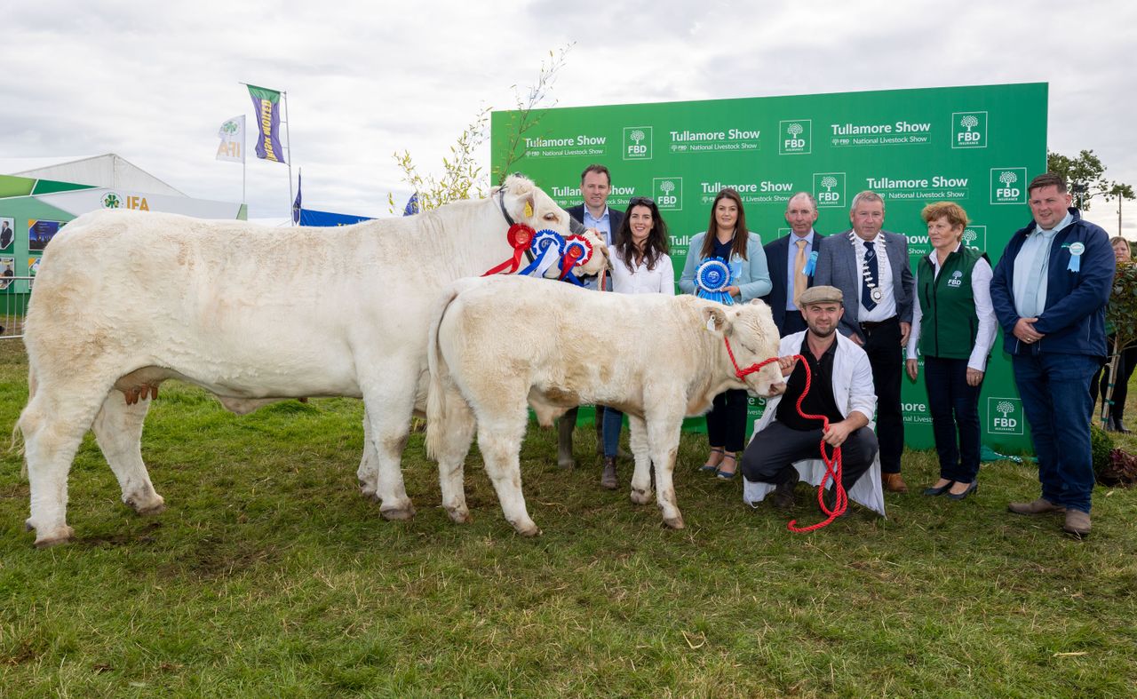 Gallery: Beef and dairy breed winners from Tullamore Show