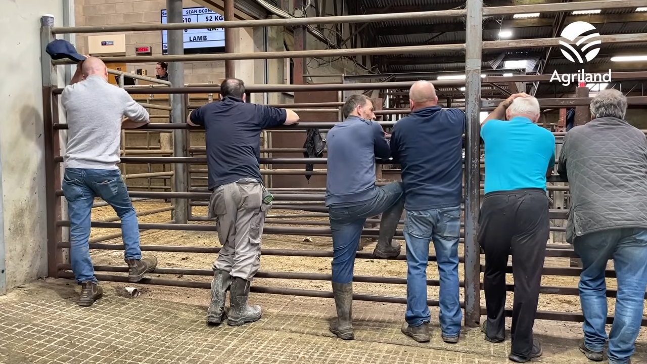 Are Irish farmers being supported enough during these expensive times?