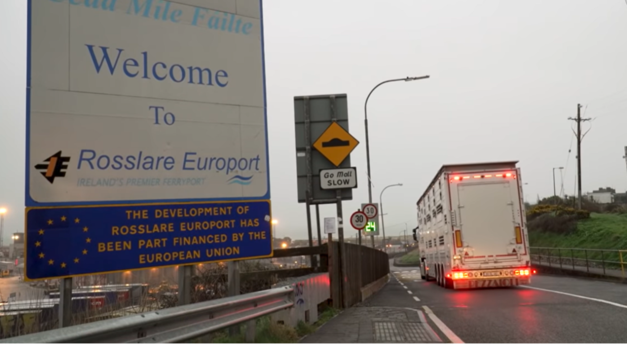 Activists intend to hold calf export protest at Rosslare