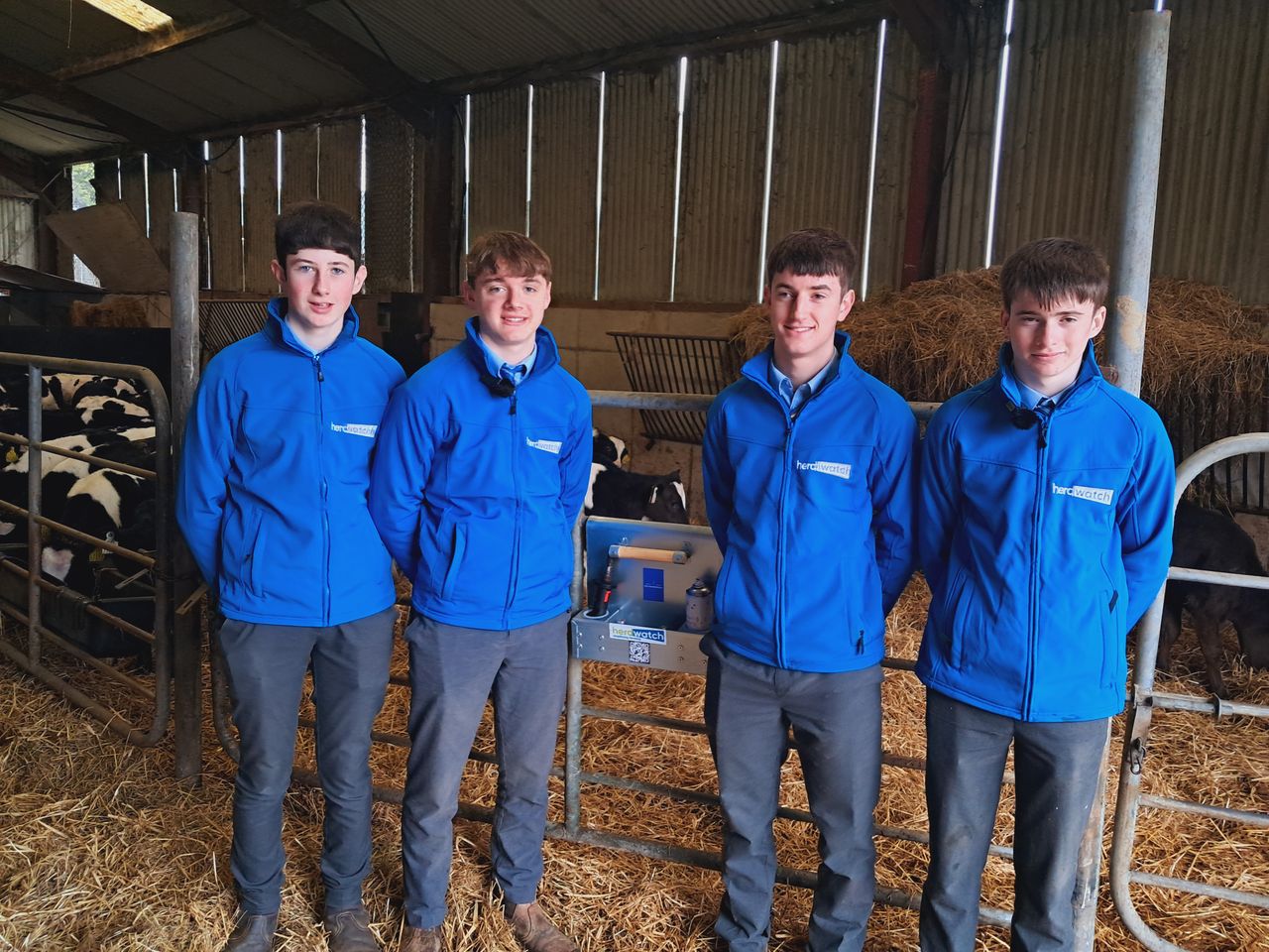 TY students create equipment for safer dehorning practice