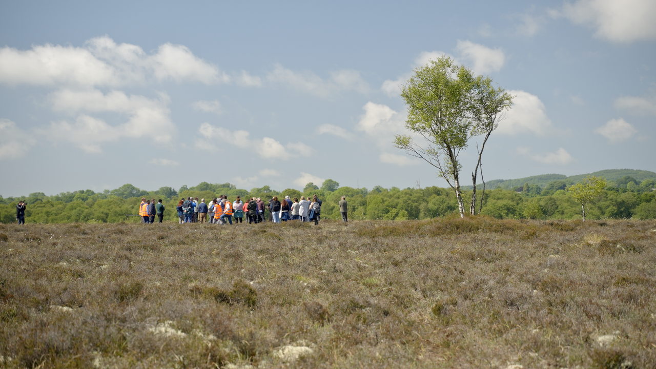 Watch: The transformation of peatlands on a farm in Co. Offaly