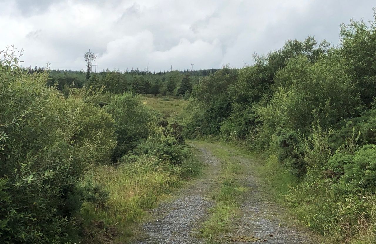 Updated: Missing Monaghan man safely found