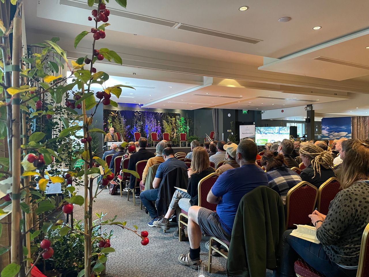 Watch: Agroforestry is 'climate positive' for farming