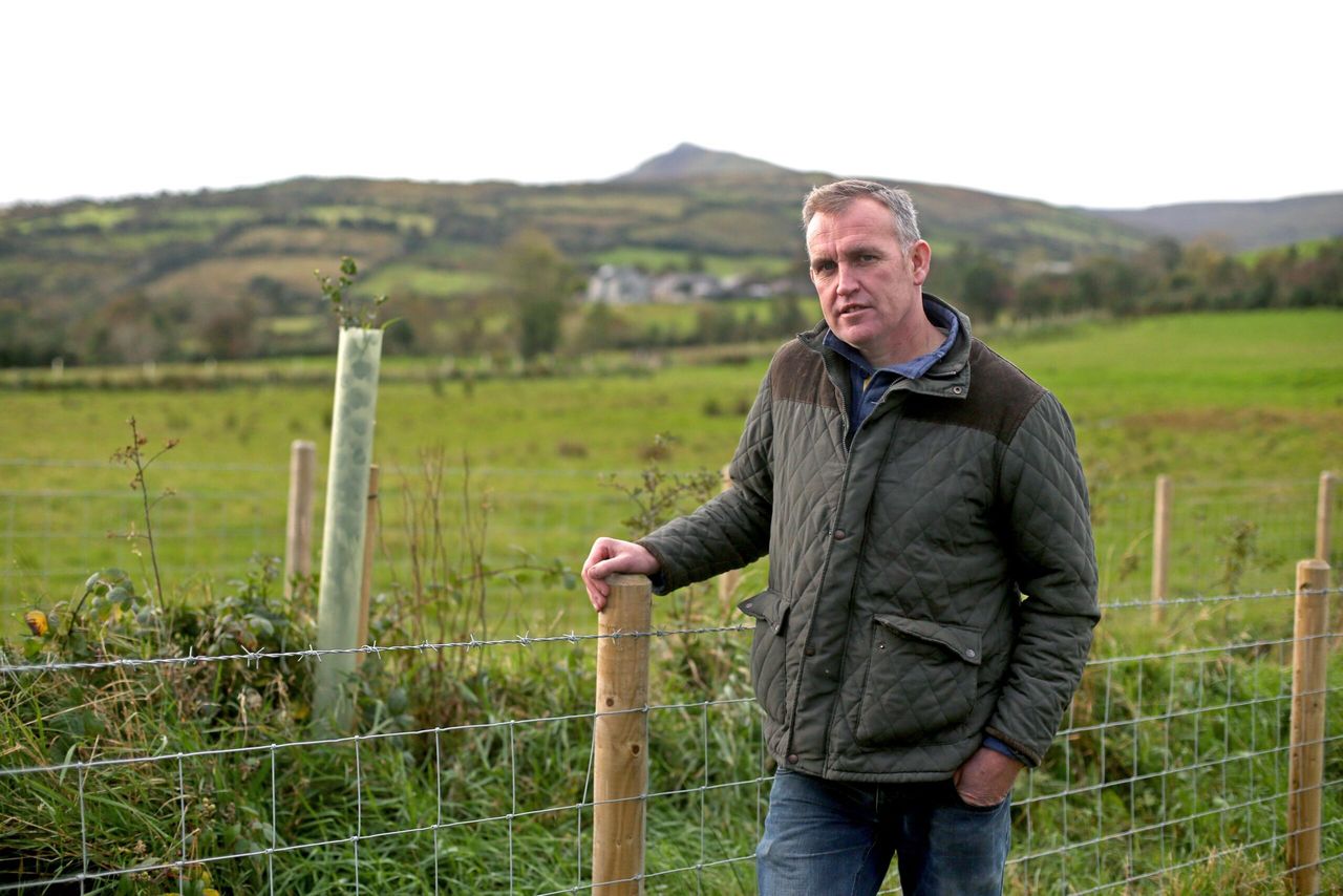 How trees are solving farm problems in the Glens of Antrim