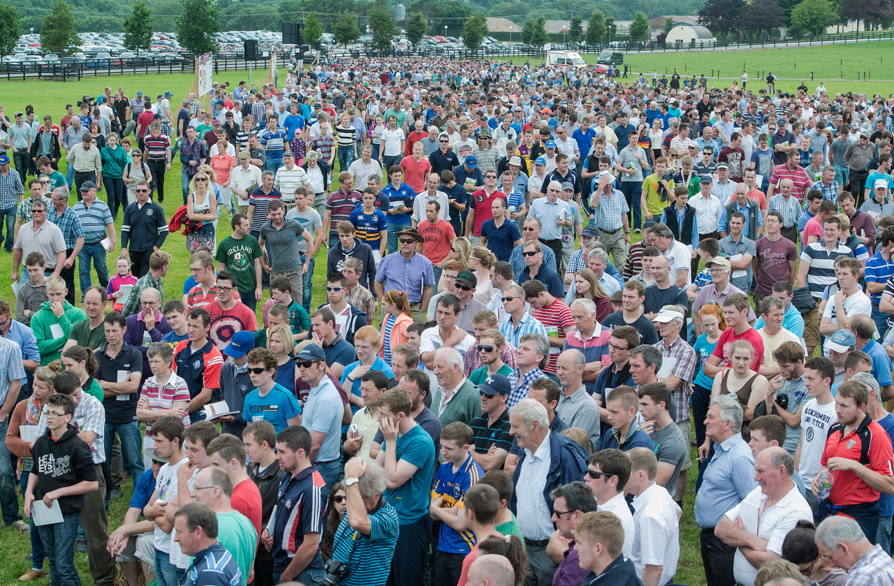 Pictures from Moorepark '15 as 13,000 visit dairy event