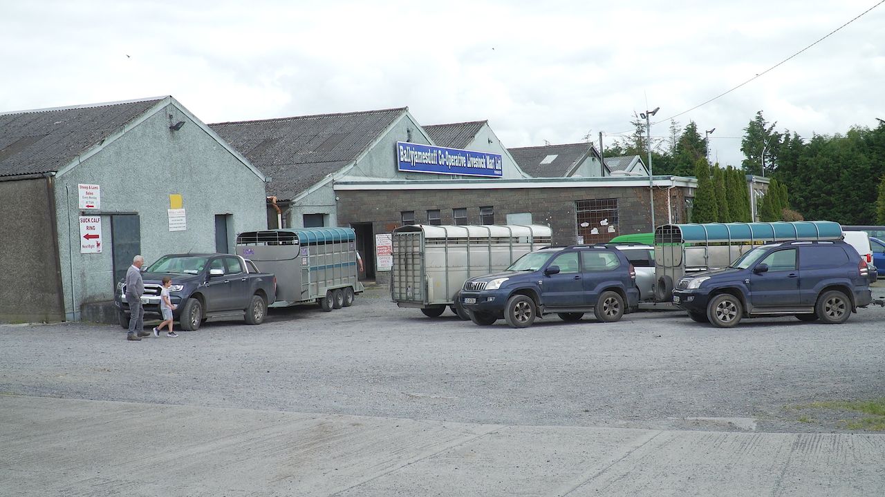Watch: Boards to promote well-being set up at Ballyjamesduff Mart