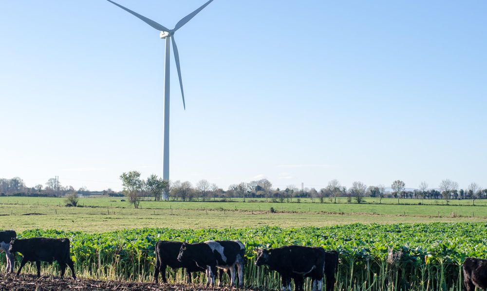 ISPCA plans to object to Co. Longford wind farm