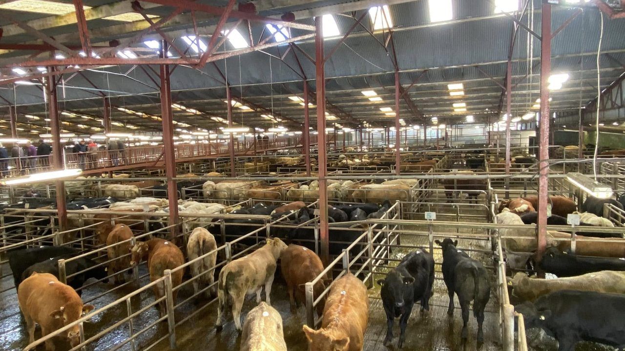 Summer mart sale numbers falling short of 2024 levels