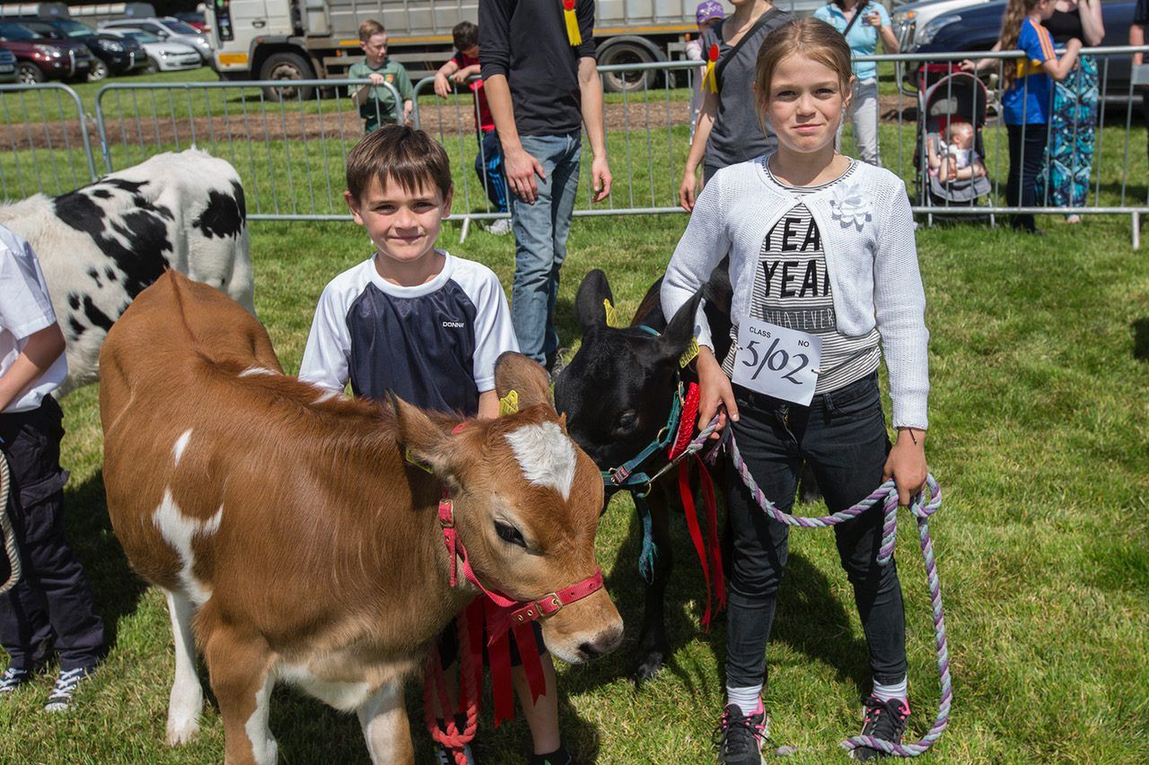 Artisan food producers to be lauded at Clonmel Show
