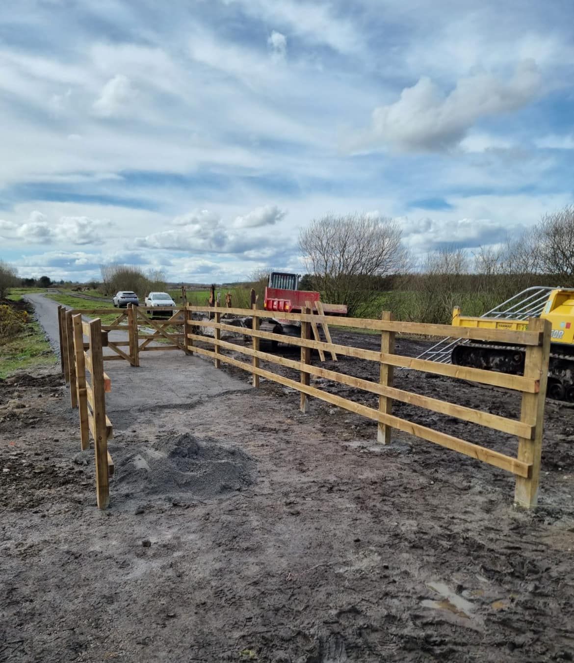 Gardaí investigate 'significant' theft of timber in Tipperary