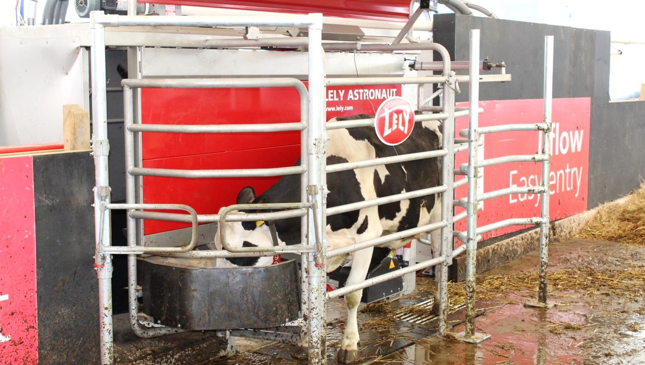 Robotic milking: We can’t hold back the tide of progress