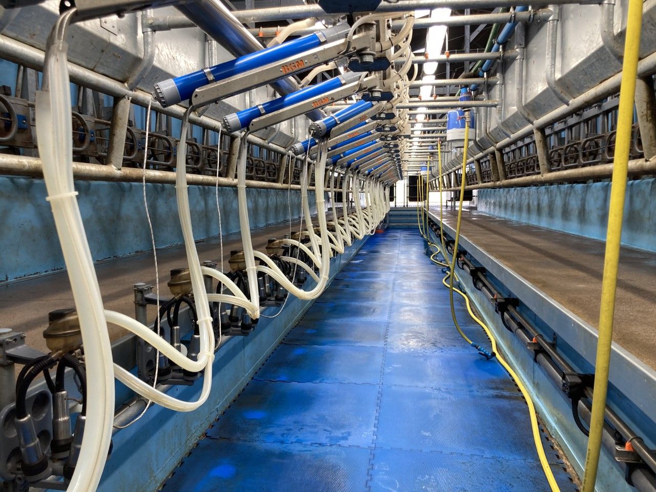 Reduce thermoduric counts with cow hygiene &amp; washing