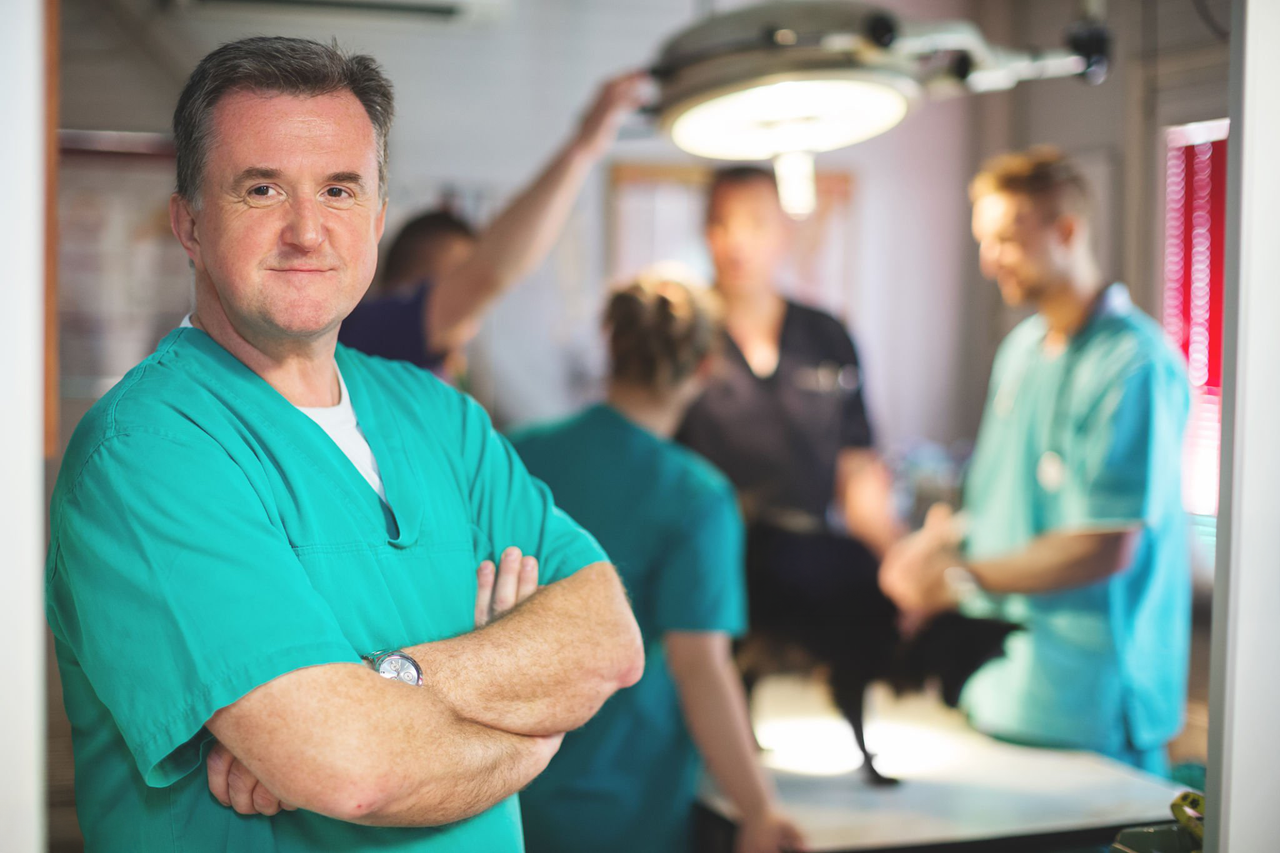 43% of Irish vet practice owners have no successor - report