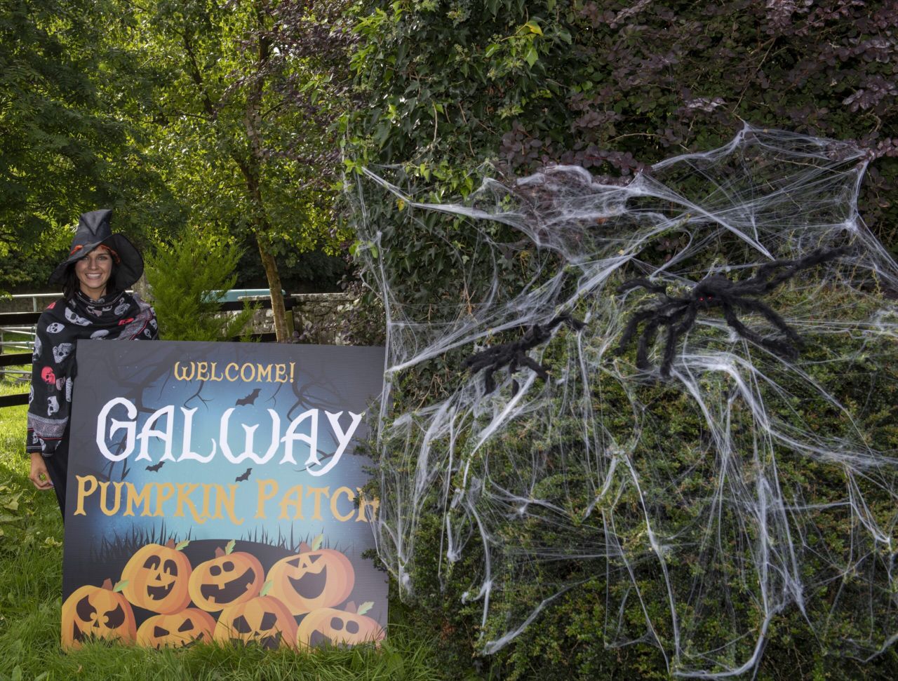 Galway woman creates pumpkin patch on family farm