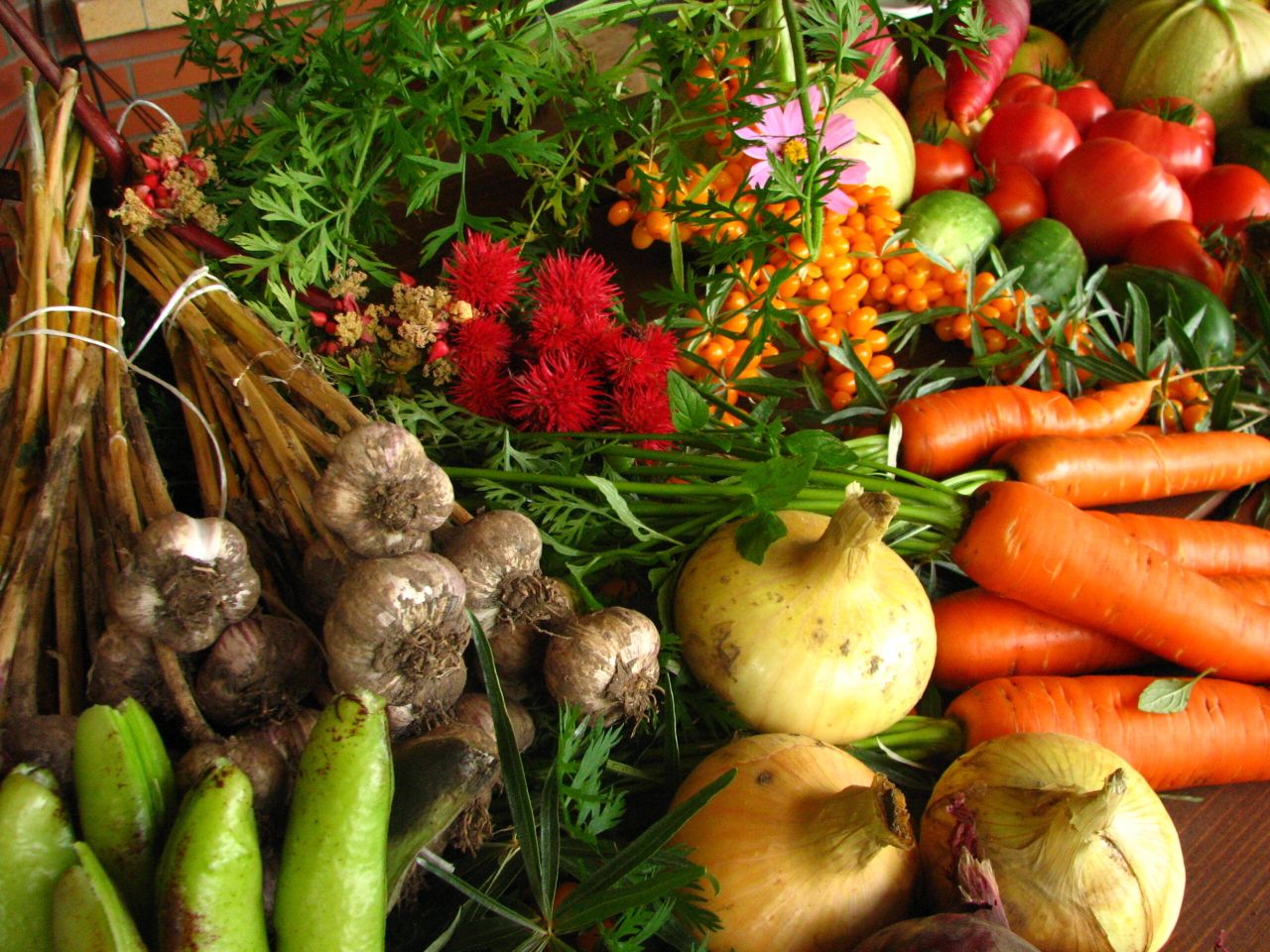 EU area under organic farming grows by 41% in five years