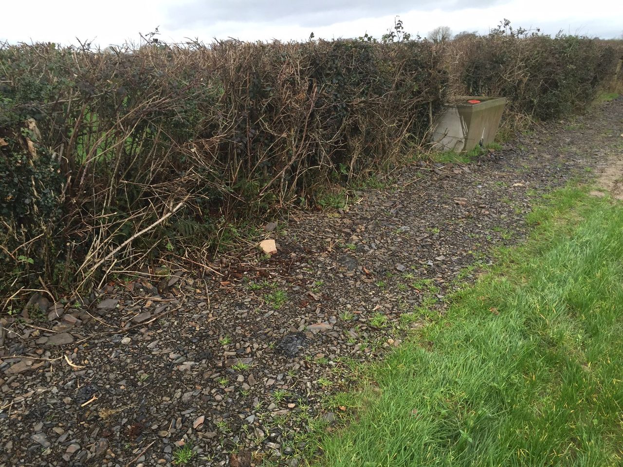 Government 'out of touch' on green waste issue - ICSA