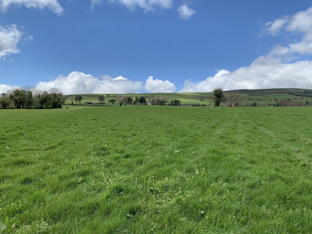 62.7ac Tinahely roadside holding new to market