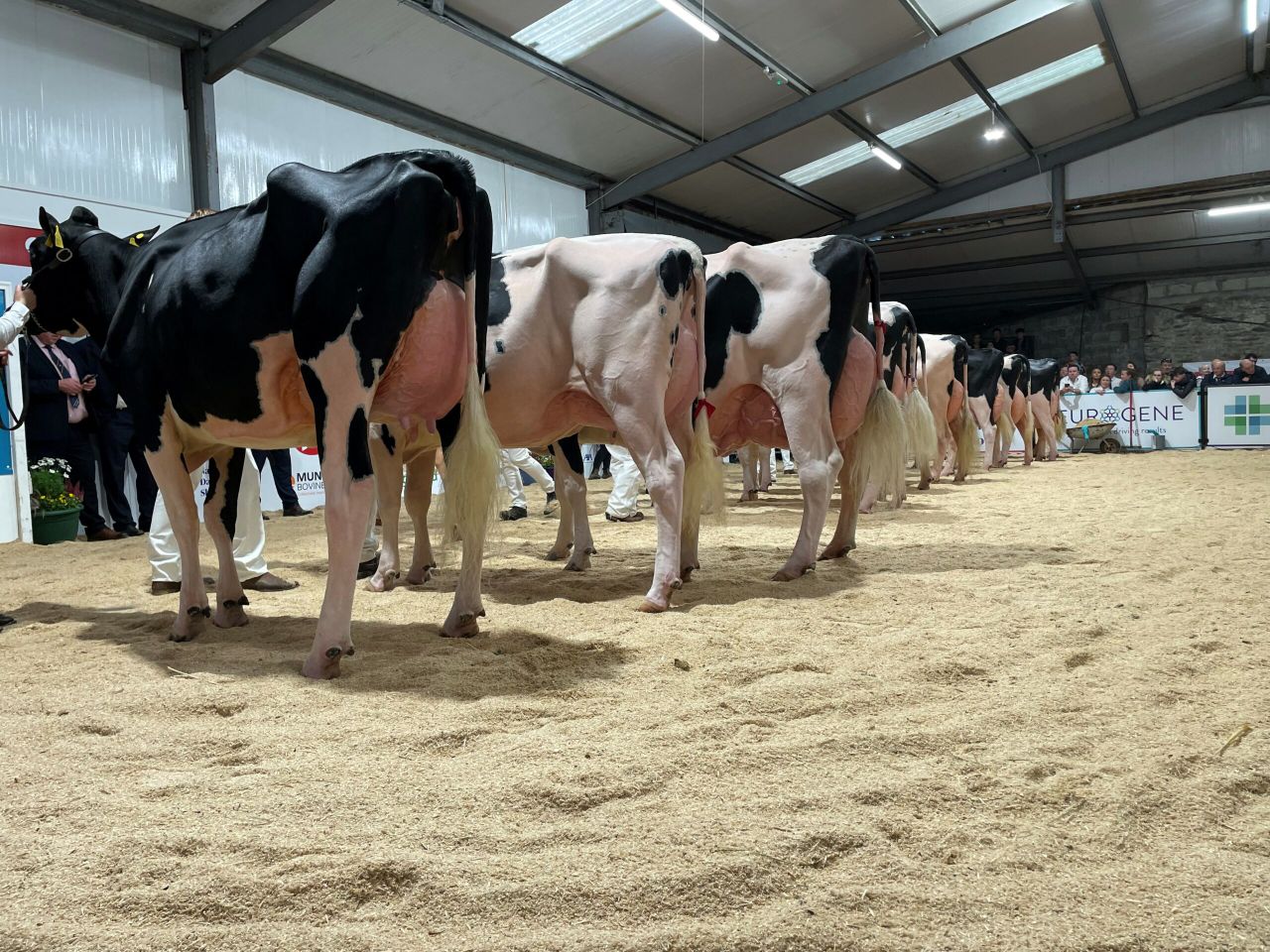 Black and White sale brings top price of 14,000gns