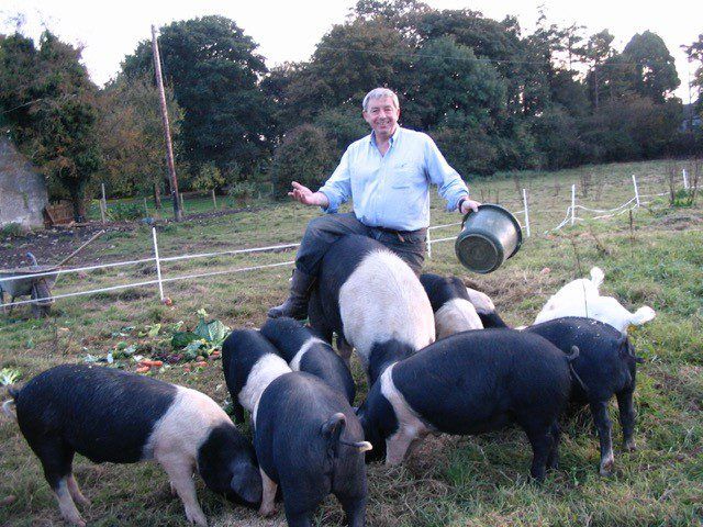 'Carving' out a business – and a better life – from pig farming