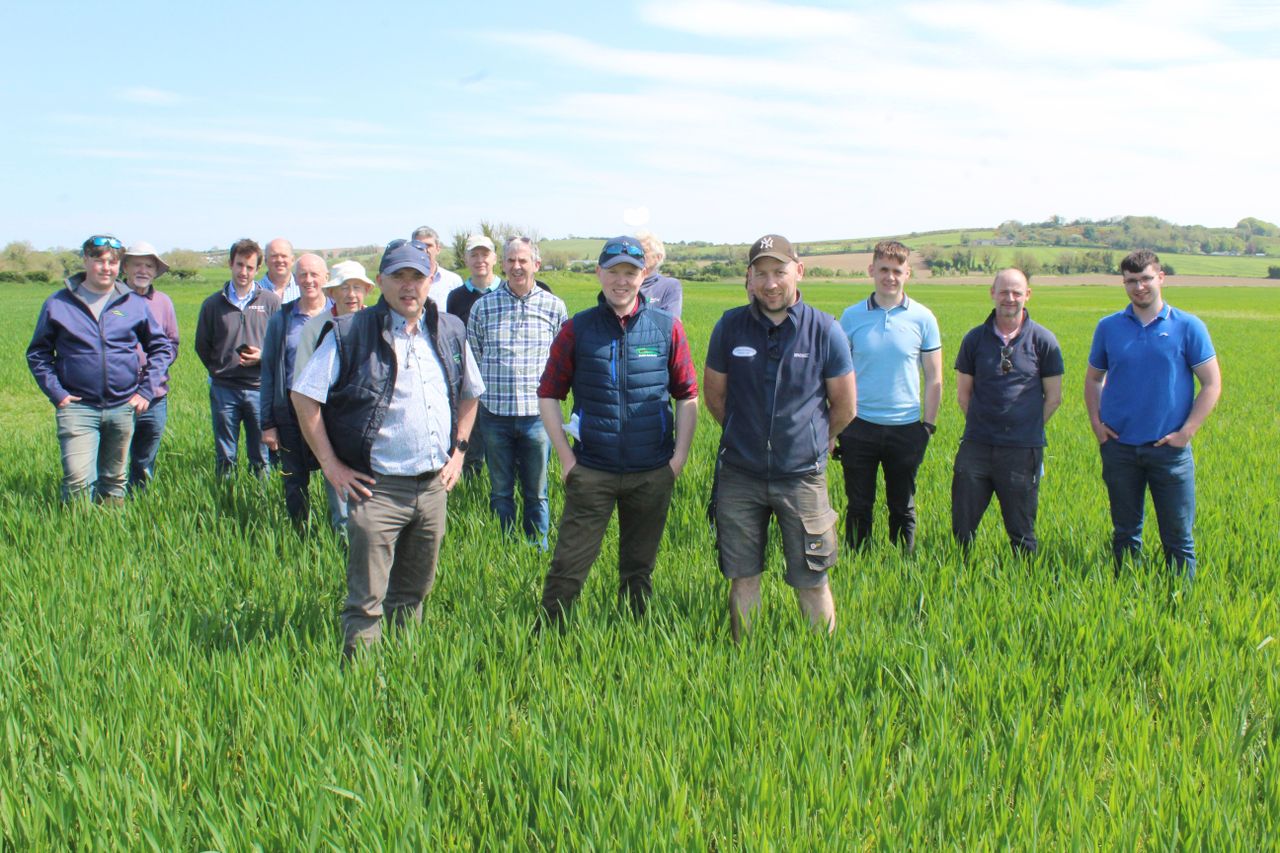 Spring cereal crops - much fieldwork in a short timeframe
