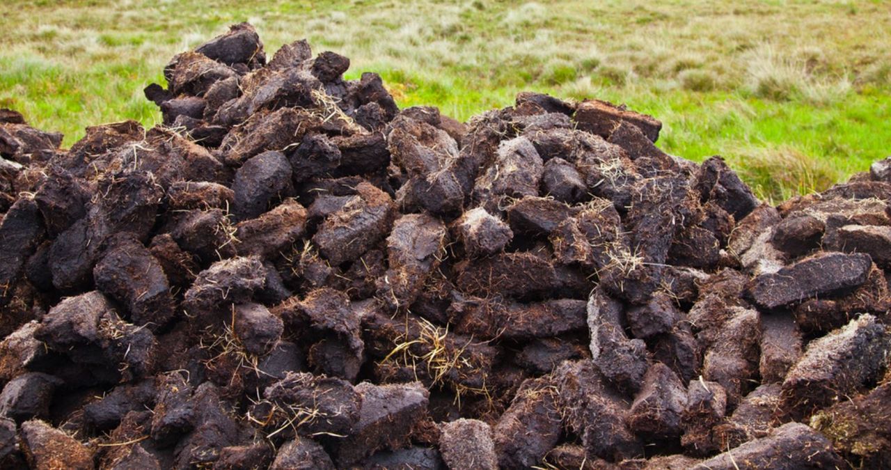 Energy crisis 'no better time' to reverse turf sale ban - TD