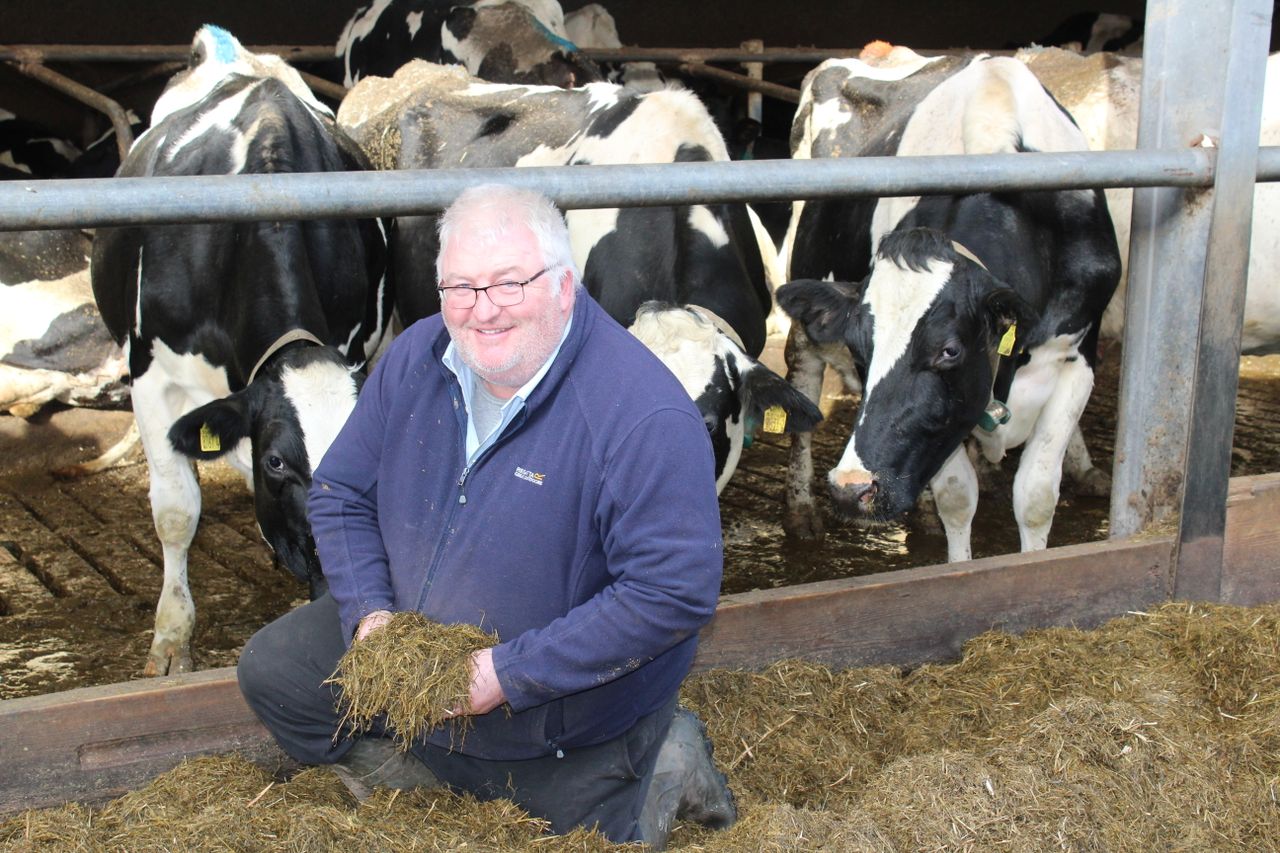 Why milk 2 cows when one Holstein will do?
