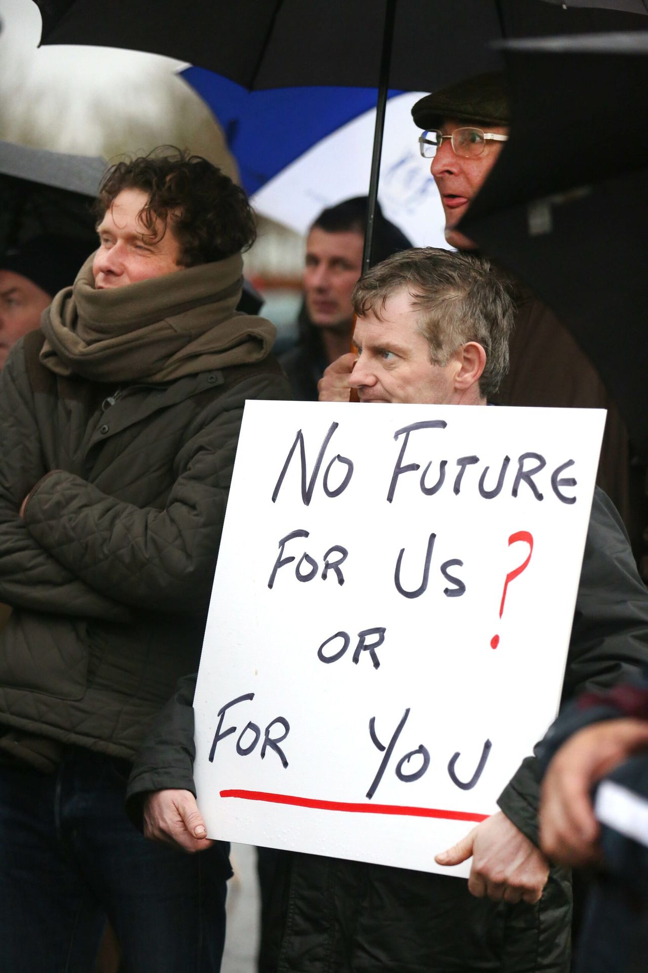 Fianna Fail call for separate tillage and livestock crisis funds