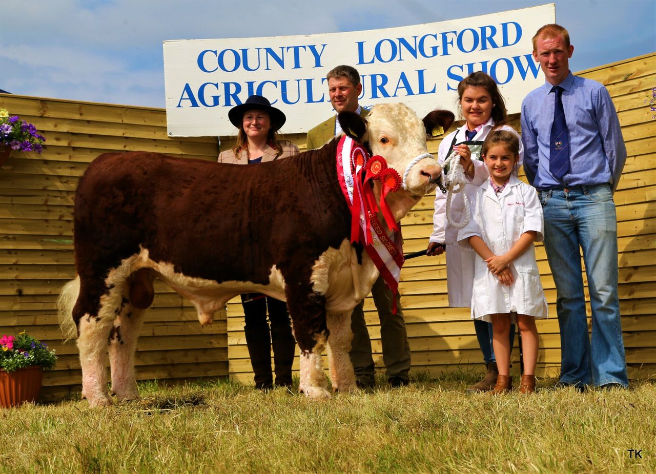 Pics: Strong turnout of Herefords at Longford Show
