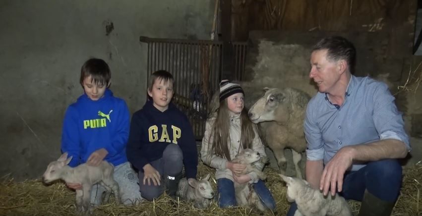 Video: Sheep farmer welcomes quadruplets following tough year