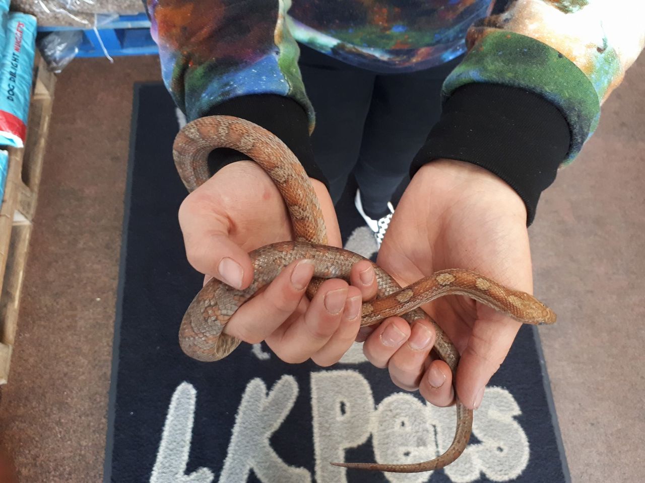 Farmer finds a snake on his land while checking livestock