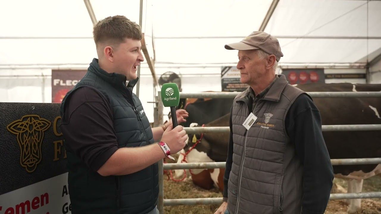 Speaking to Celtic Sires at Ploughing 2026