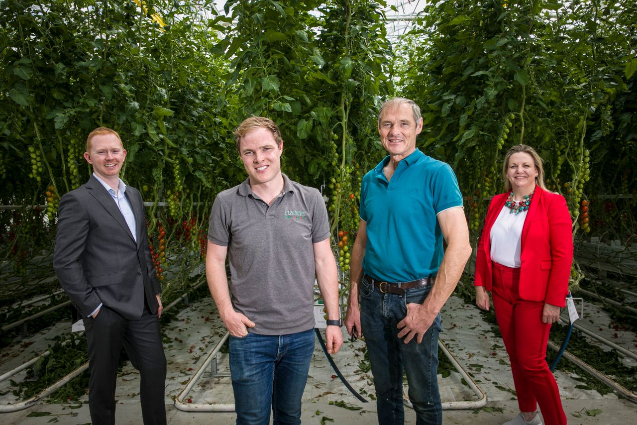 Tomato company to switch to renewable gas in trial project