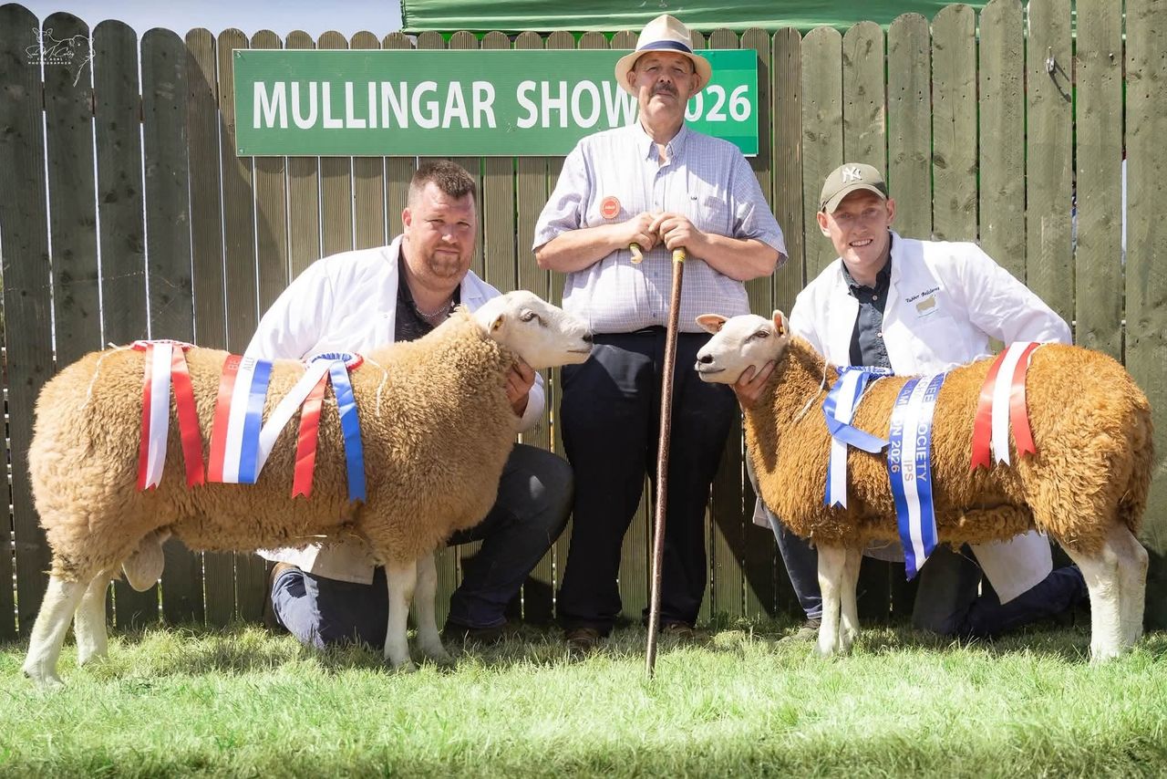 Belclare Sheep Society championship results from Mullingar Show