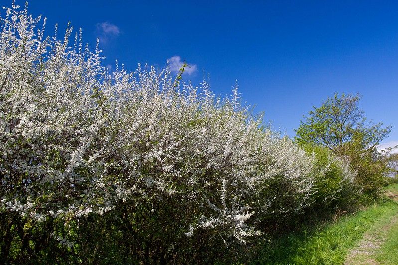 Action called for on 'how to compensate farmers for carbon sequestered'