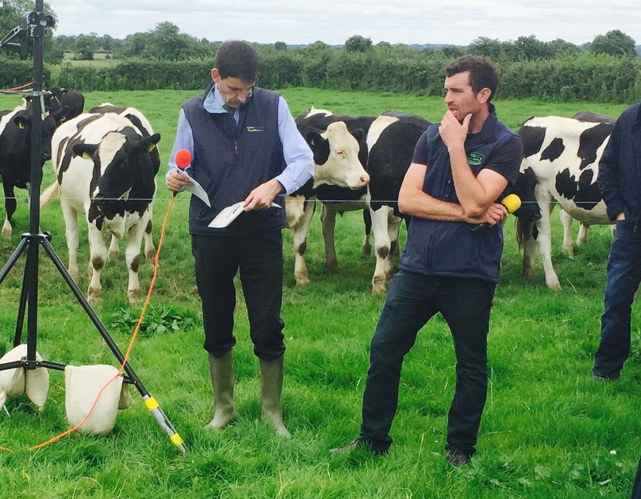 How this part-time beef farmer plans €1,800/ha of output to drive profit