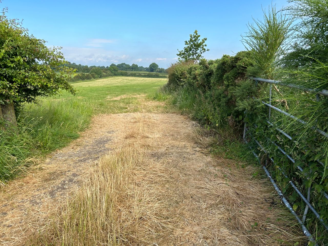 Irish Wildlife Trust welcomes latest vote on Nature Restoration Law