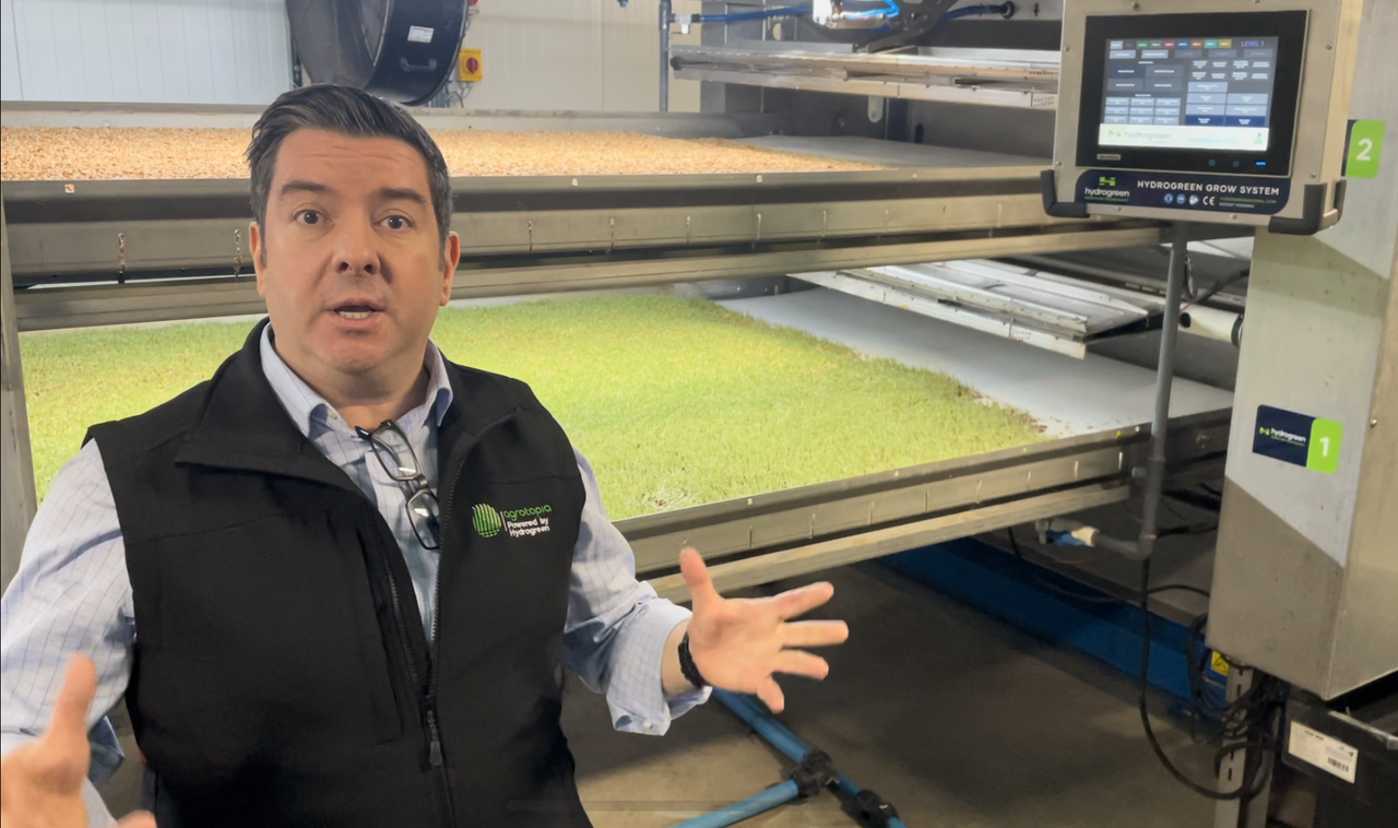 Watch: Meath firm turning seed to high-protein feed in 5 days