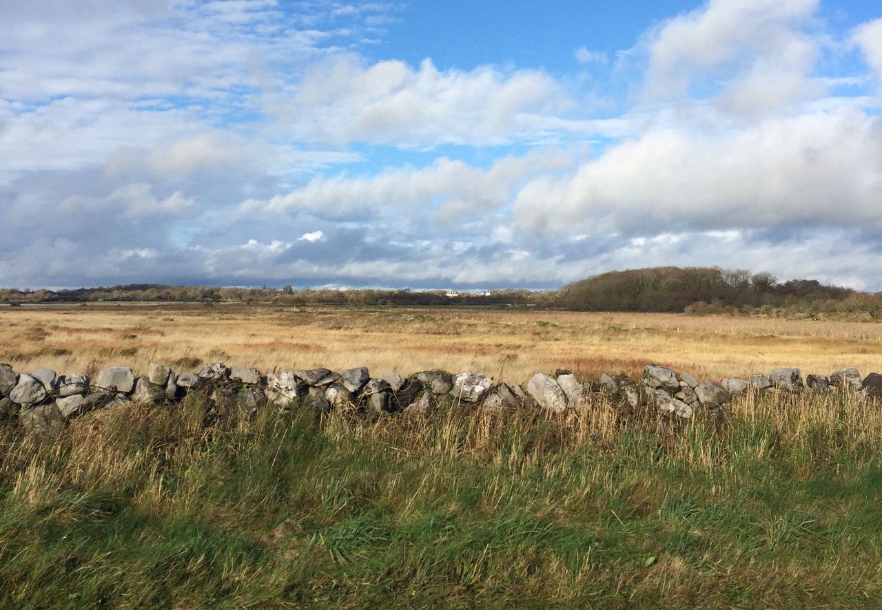 It was the warmest November for 36 years in parts - Met Eireann