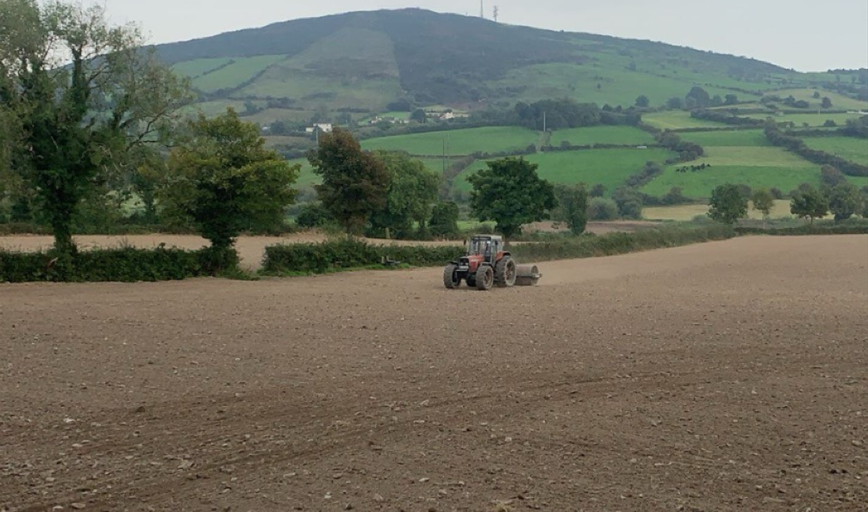 Reminder: Availing of €300/ha reseeding scheme