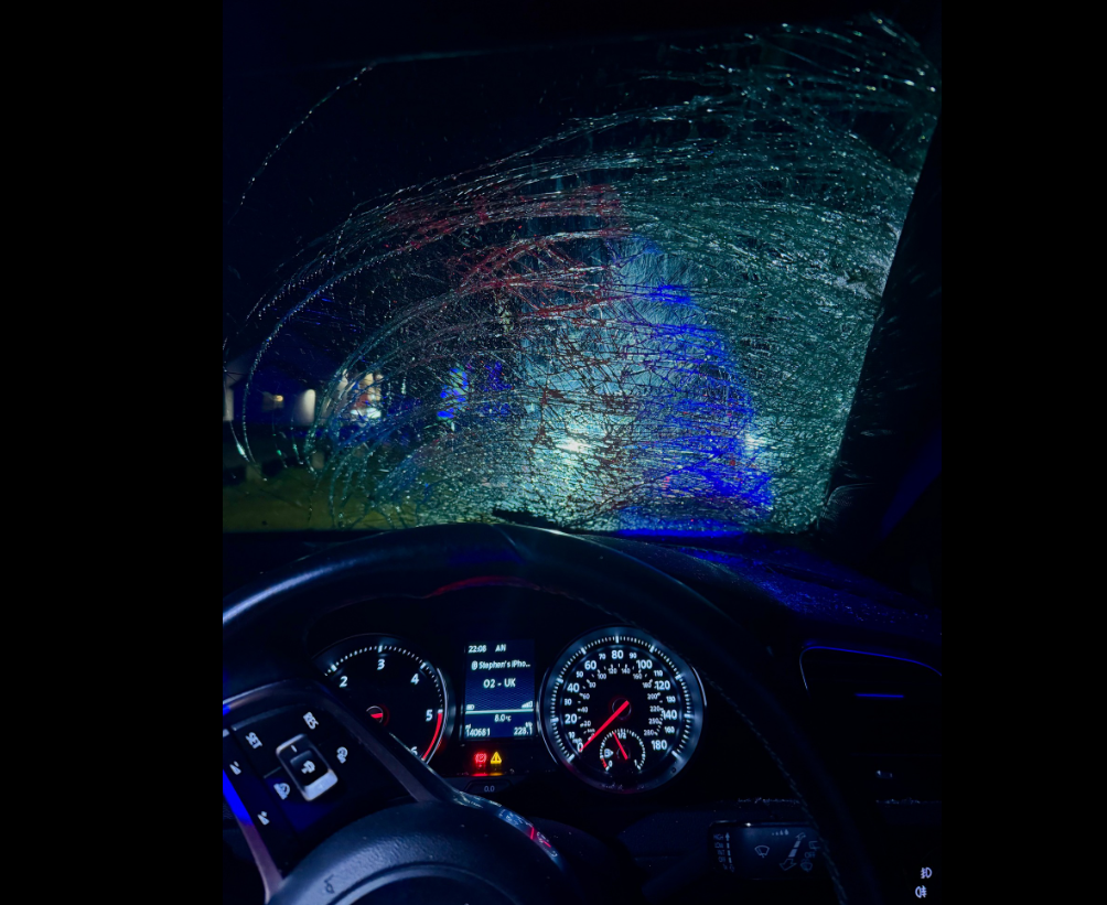 Black cow on unlit road led to 'written off car' - PSNI