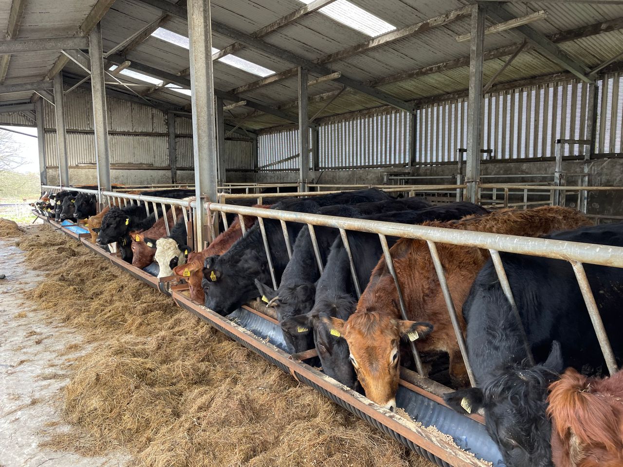 Factory quotes: Beef price offerings tighten further