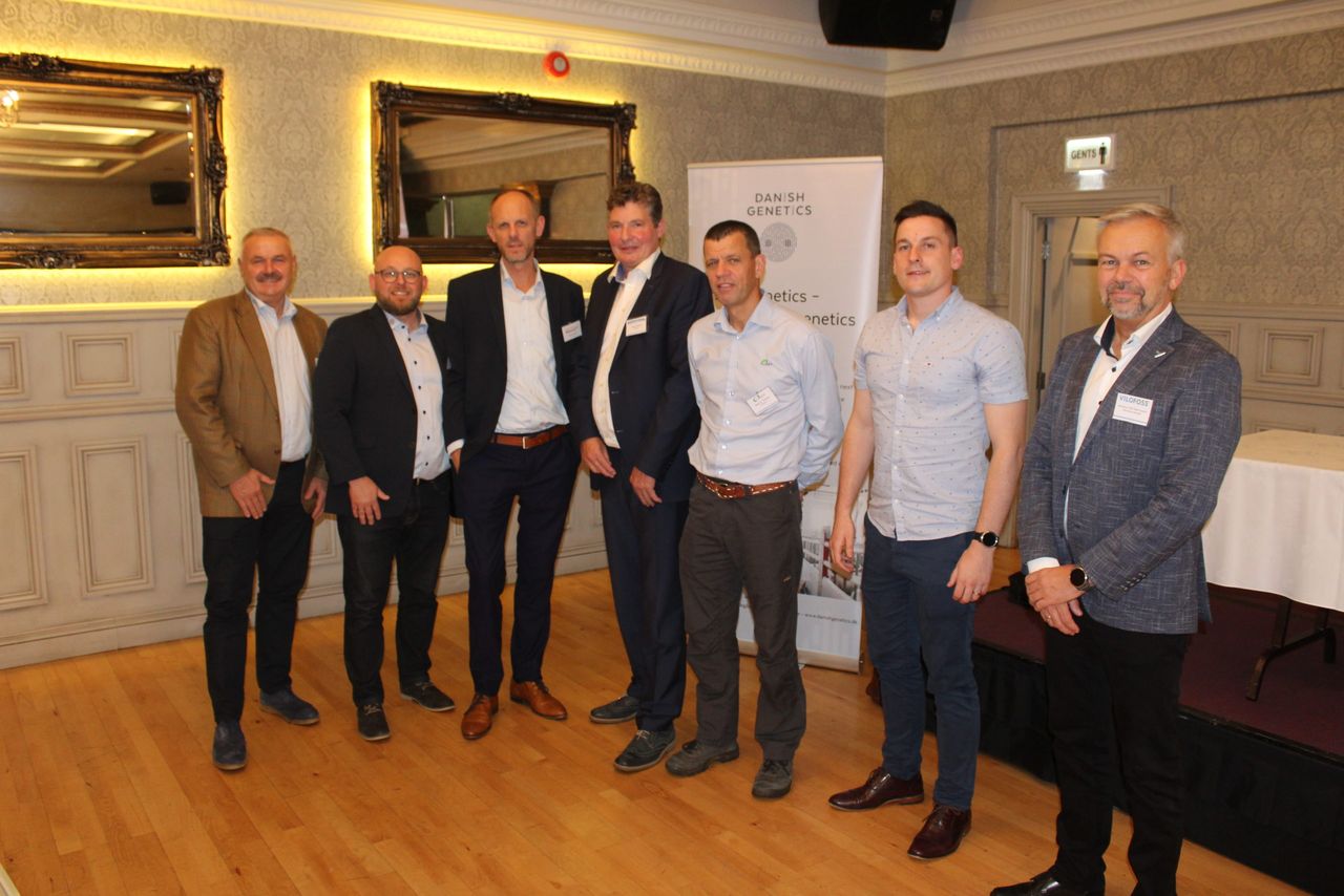 Danish pig industry committed to improving maternal lines