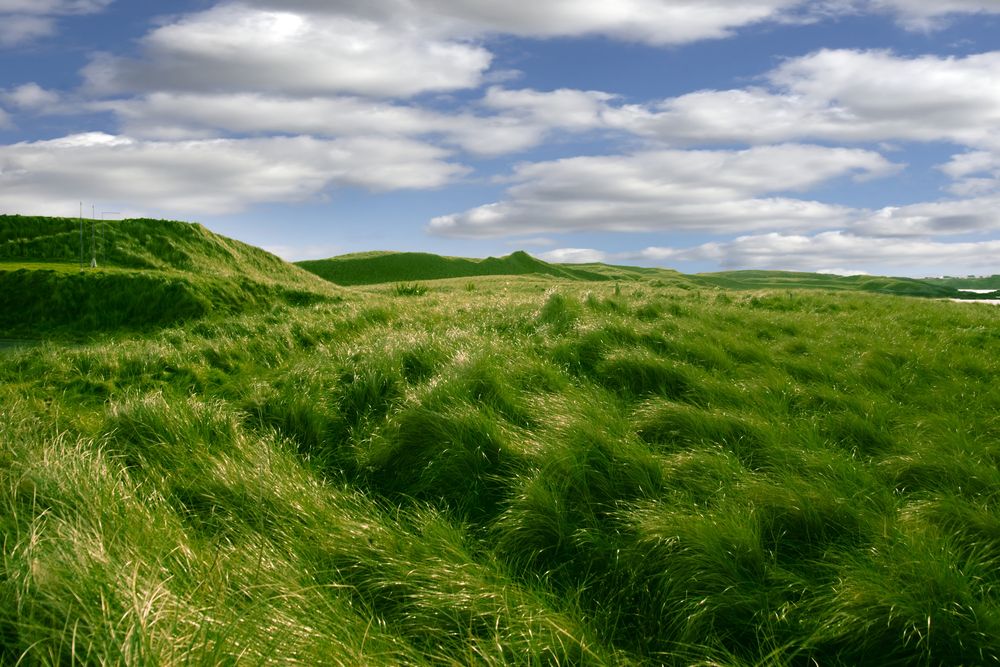 '1,000 farmers lose Farm Assist over changes'