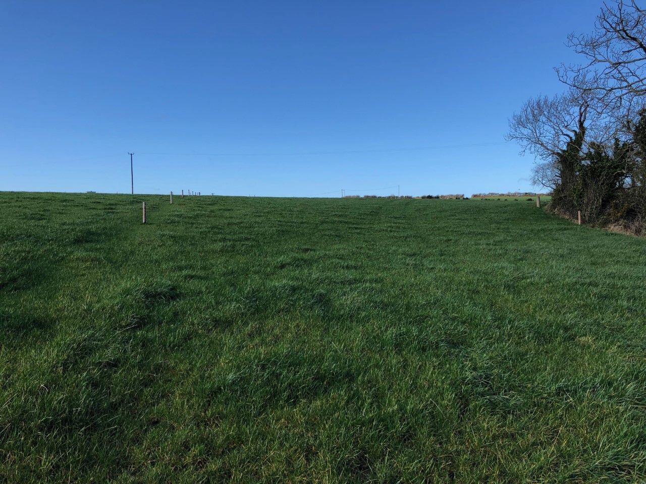 Nitrates derogation: What are the new measures in place for 2020?
