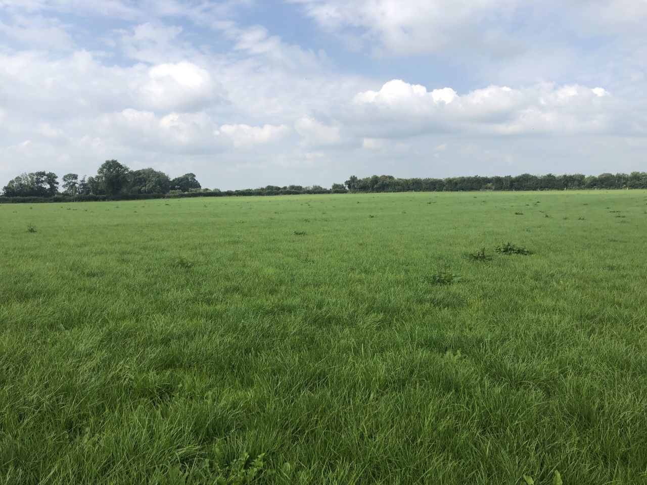 Autumn grazing targets: Are you on track or falling behind?