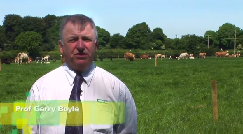 Grange Beef 2014 video highlights