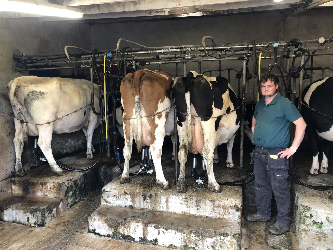 Video: Old-school system on Leitrim suckler and dairy farm