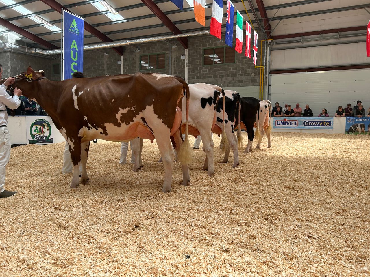 Entries open for IHFA Pure Protein and Premier sales